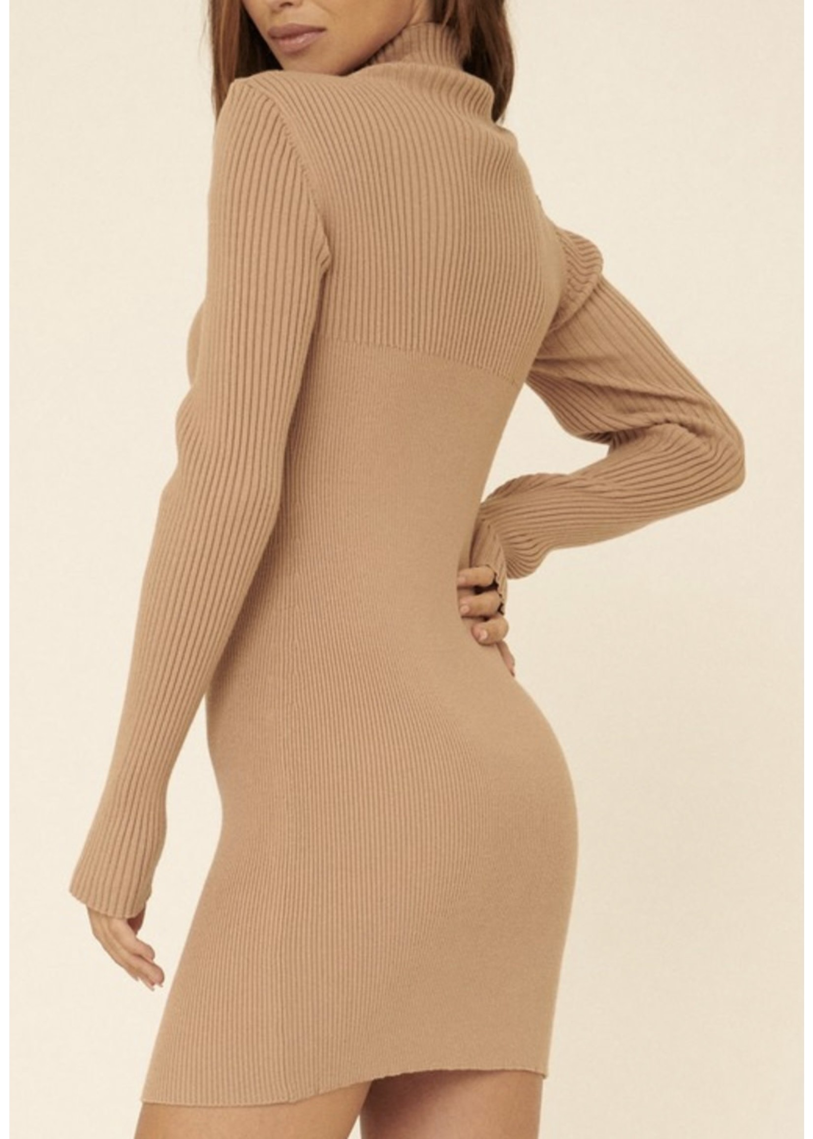 Promesa High Collar Mini Dress SP22