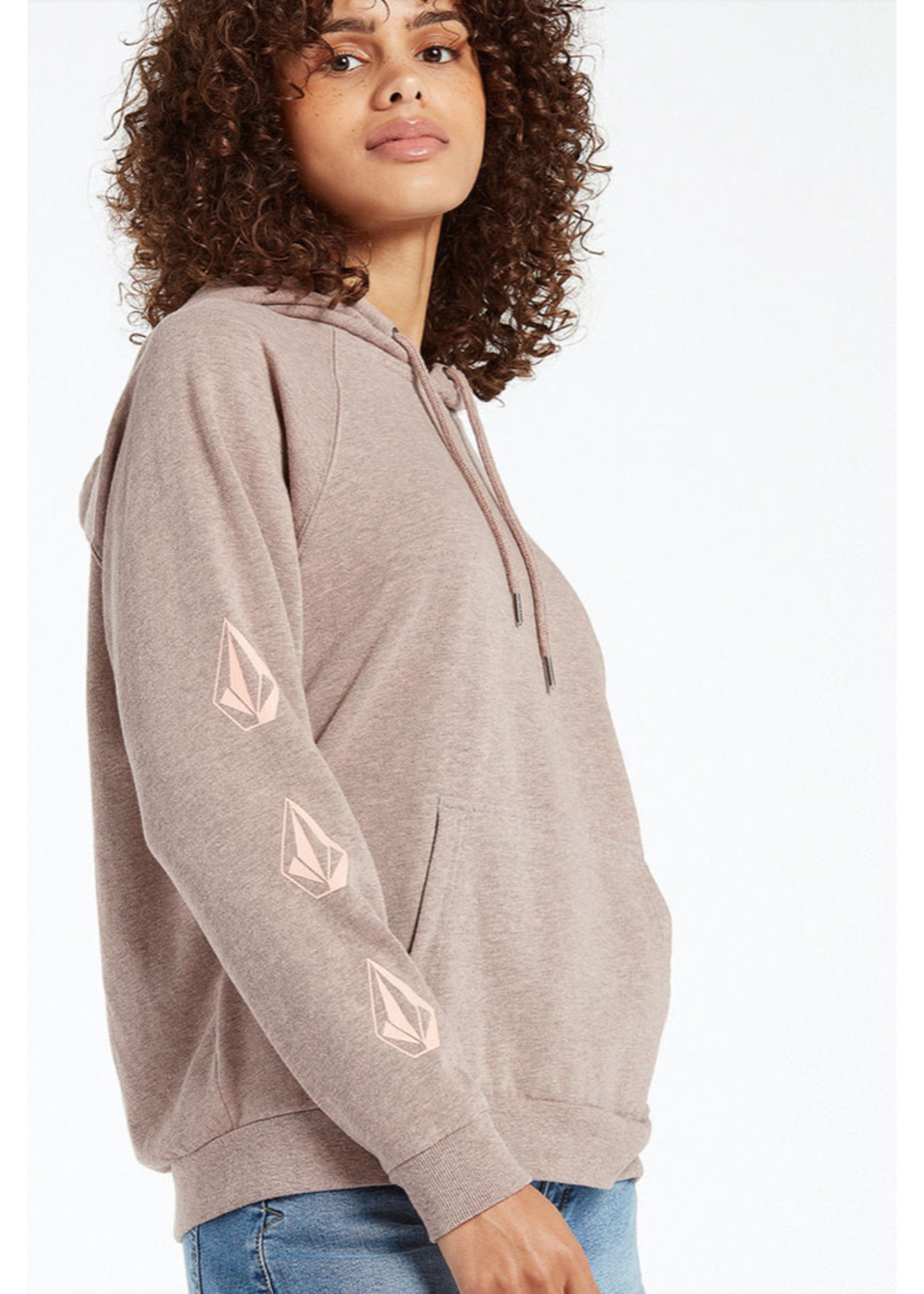 Volcom Volcom Iconic Stone Hoodie SP22