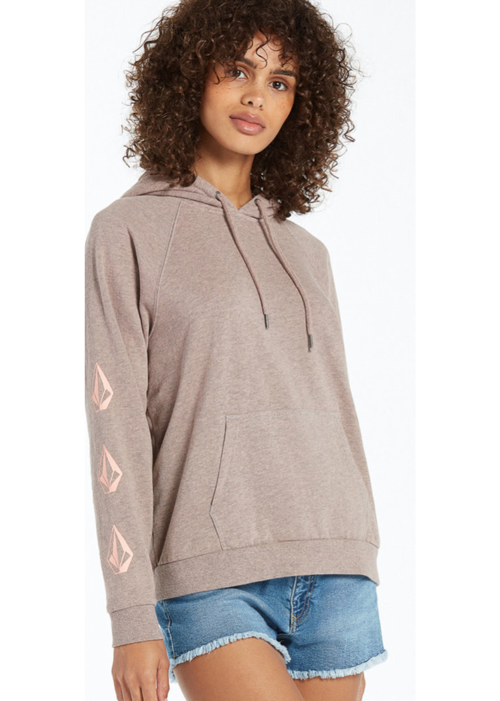 Volcom Volcom Iconic Stone Hoodie SP22