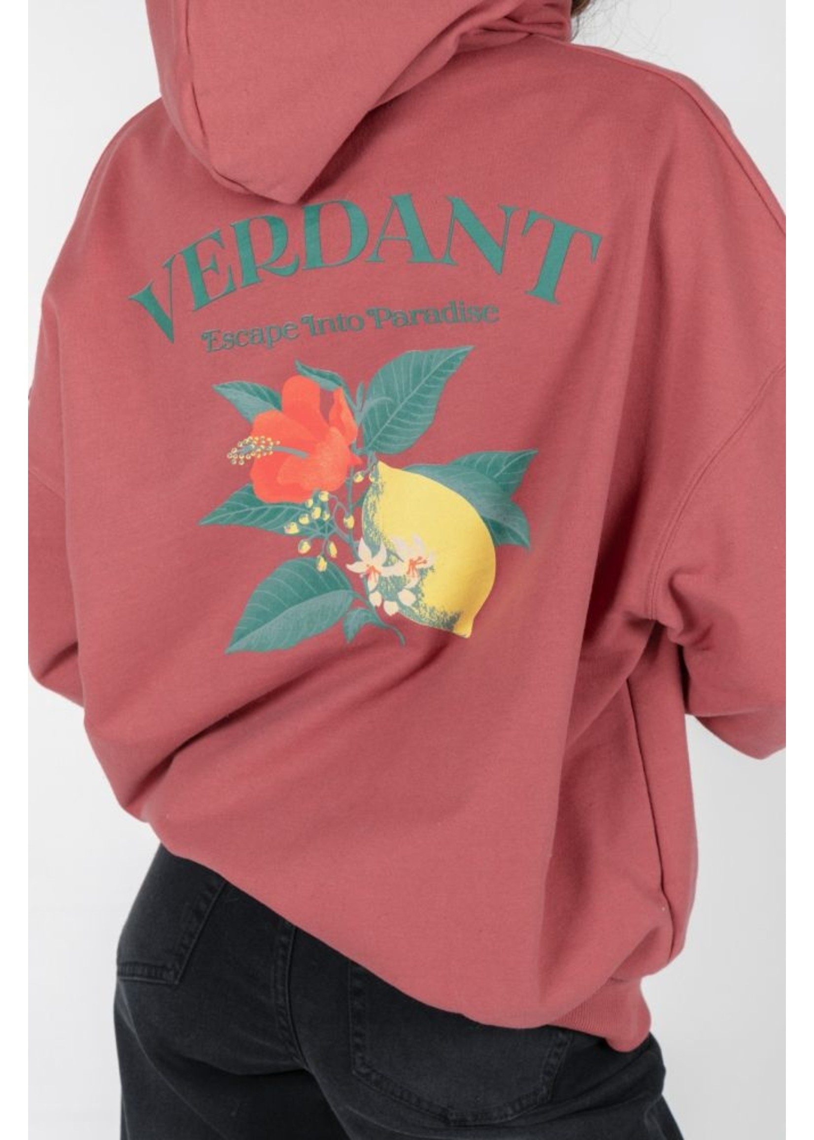 24 Colours 24 colours Verdant Sweater