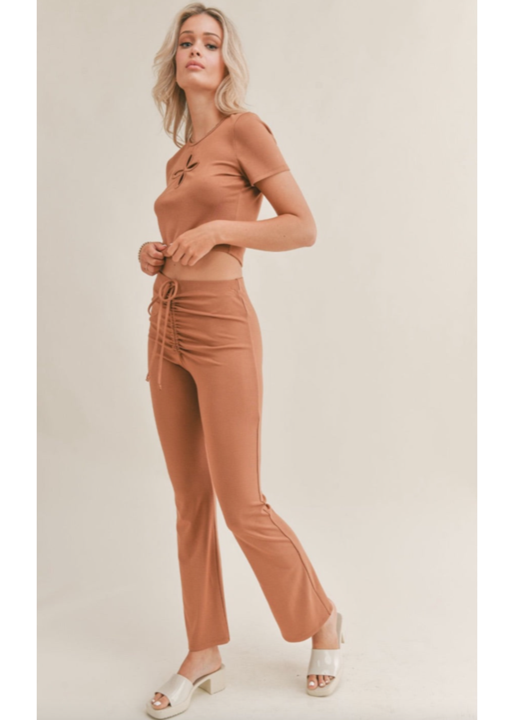 Sage the Label Sage The Label Cinnamon Spice Crop Top - SP23