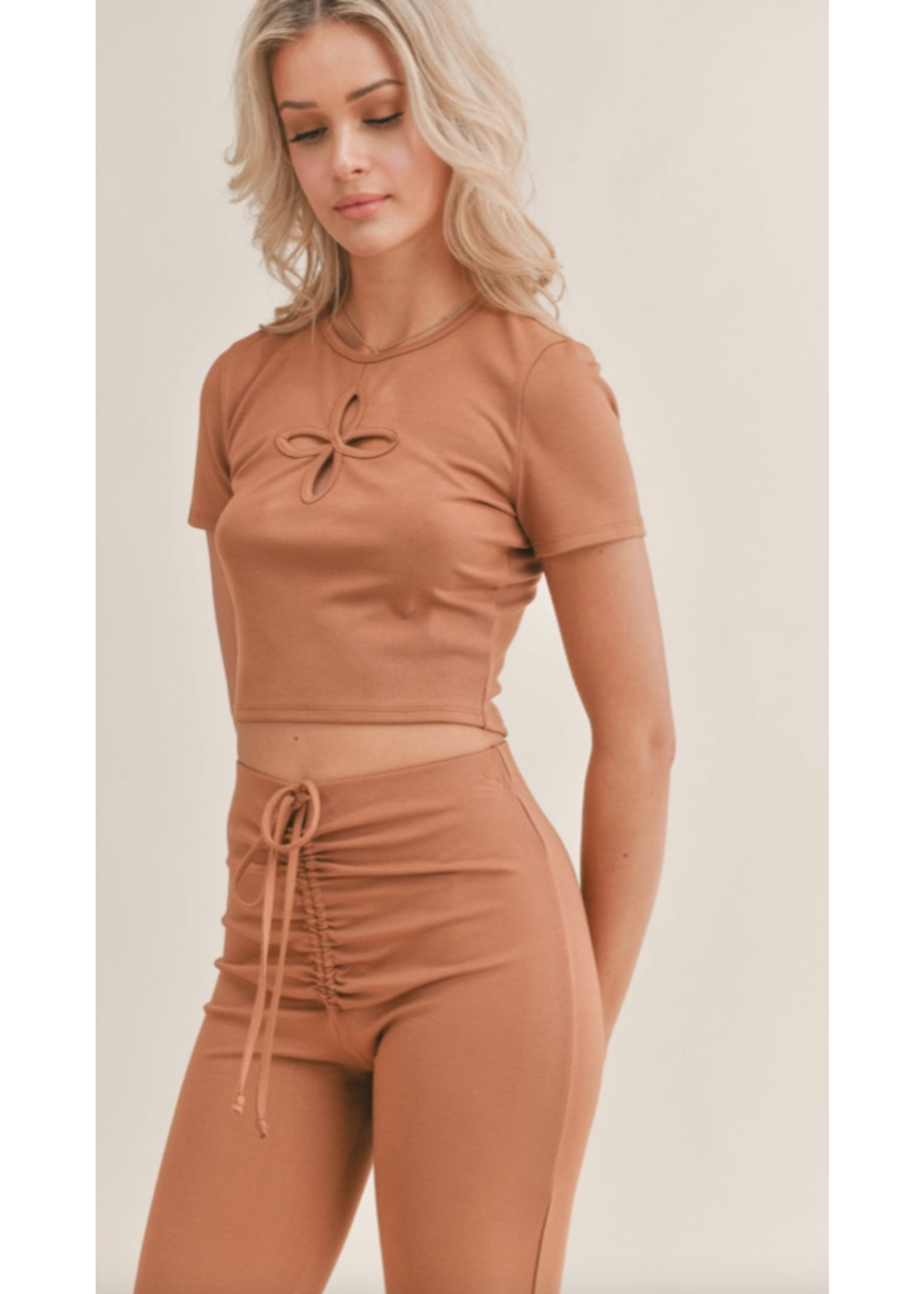 Sage the Label Sage The Label Cinnamon Spice Crop Top - SP23