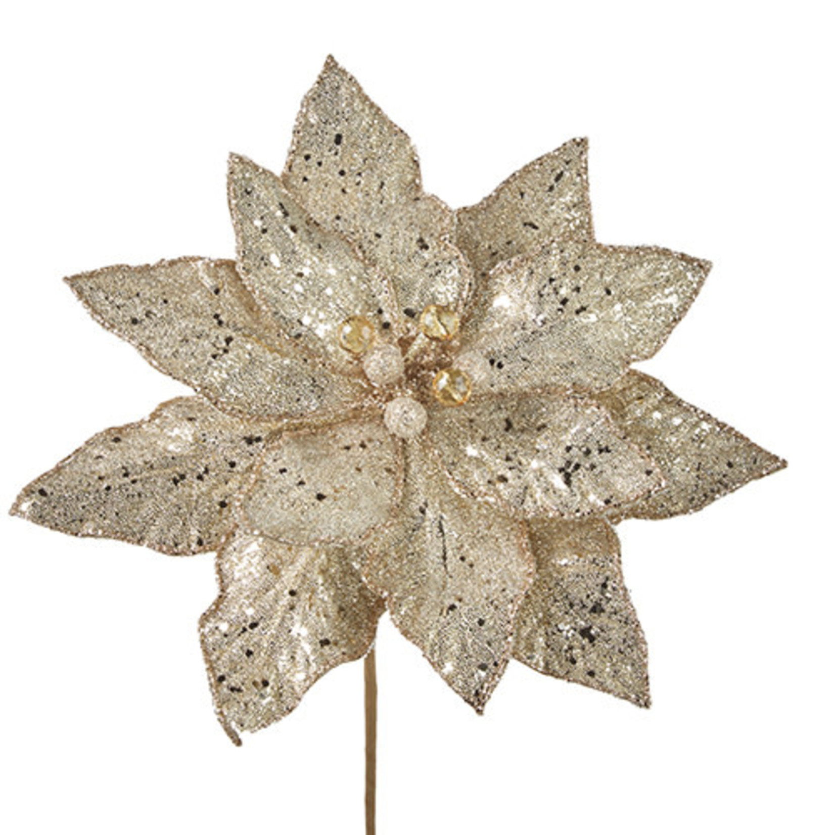 CHAMPAGNE GLITTERED POINSETTIA STEM 23"