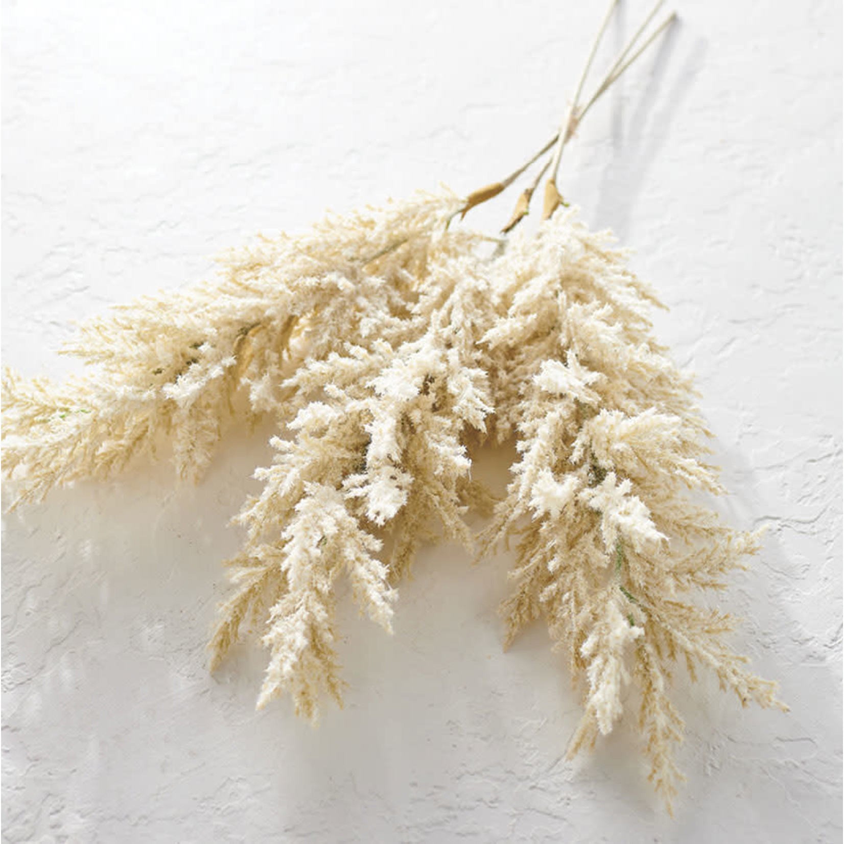 34" ICED PAMPAS GRASS STEM