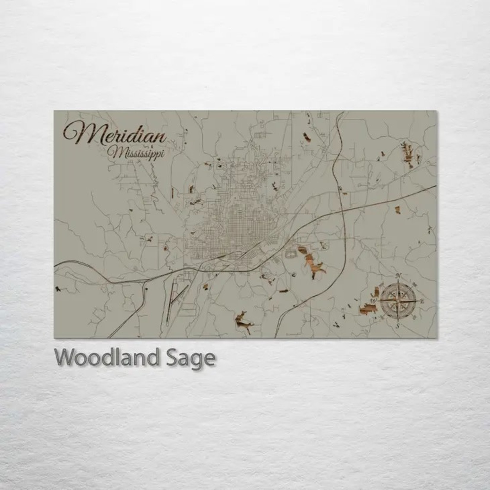Meridian, MS Wooden Street Map Large 22x38