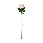 REAL TOUCH AUSTIN ROSE STEM PEACH 24"