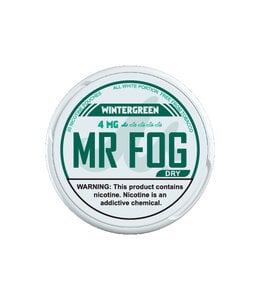 MR FOG [DRY] MR FOG NICOTINE POUCHES WINTERGREEN 4MG