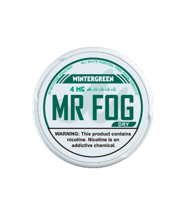 MR FOG [DRY] MR FOG NICOTINE POUCHES WINTERGREEN 4MG