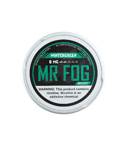 MR FOG [MOIST] MR FOG NICOTINE POUCHES WINTERGREEN 8MG