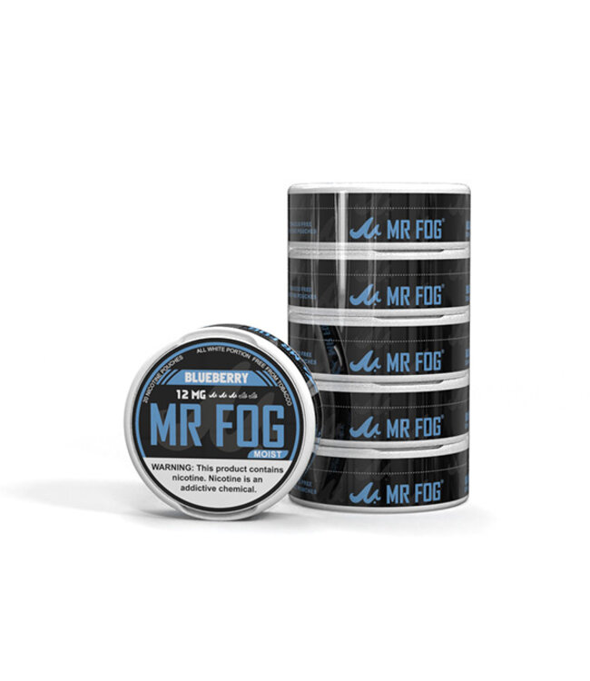 MR FOG [MOIST] MR FOG NICOTINE POUCHES PACK OF 5 BLUEBERRY 12MG