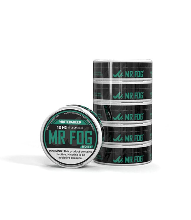 MR FOG [MOIST] MR FOG NICOTINE POUCHES PACK OF 5 WINTERGREEN 12MG