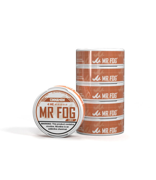 MR FOG [DRY] MR FOG NICOTINE POUCHES PACK OF 5 CINNAMON 4MG