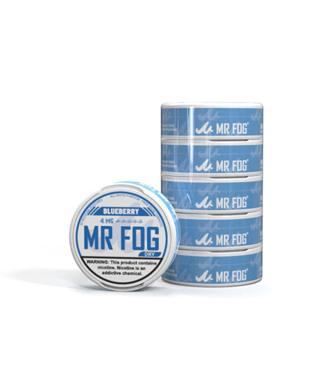 MR FOG [DRY] MR FOG NICOTINE POUCHES PACK OF 5 BLUEBERRY 4MG