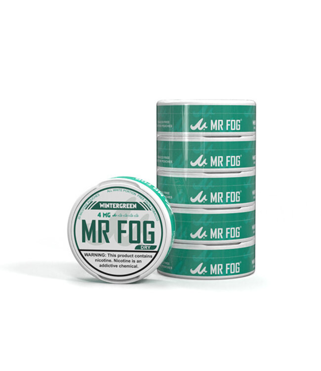 MR FOG [DRY] MR FOG NICOTINE POUCHES PACK OF 5 WINTERGREEN 4MG