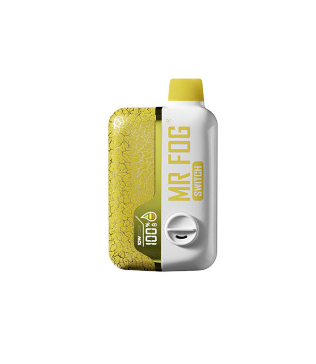 MR FOG MR FOG SWITCH 15000 PUFFS BANANA PNCK DUDE