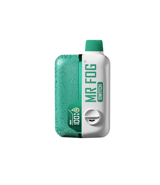 MR FOG MR FOG SWITCH 15000 PUFFS Classic Mint Ice
