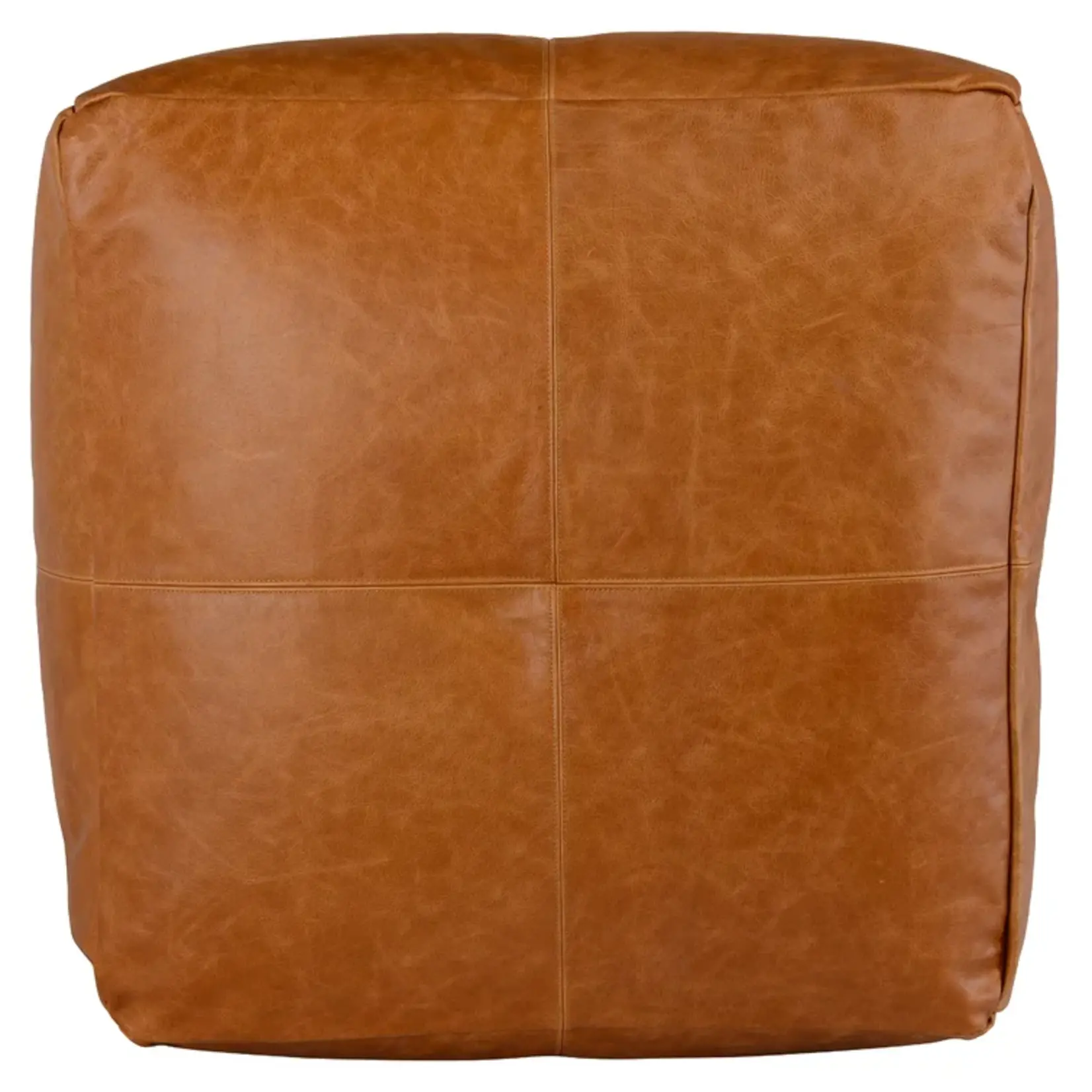 Nova Birch Lane Cutler Leather Pouf