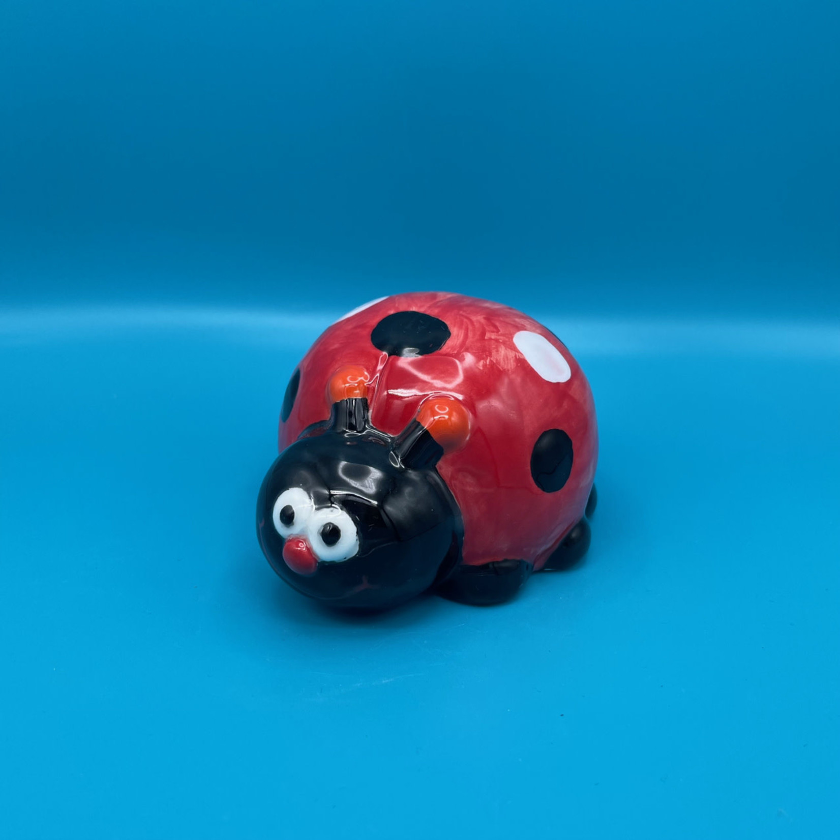 Ladybug, Frank