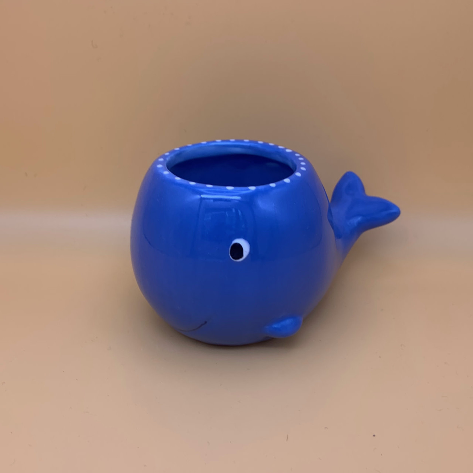 Whale Planter