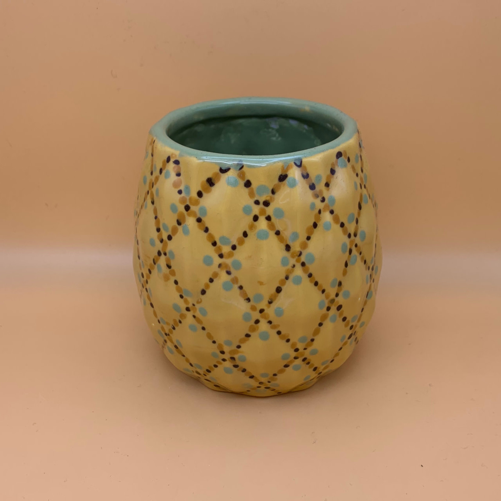 Pineapple Planter