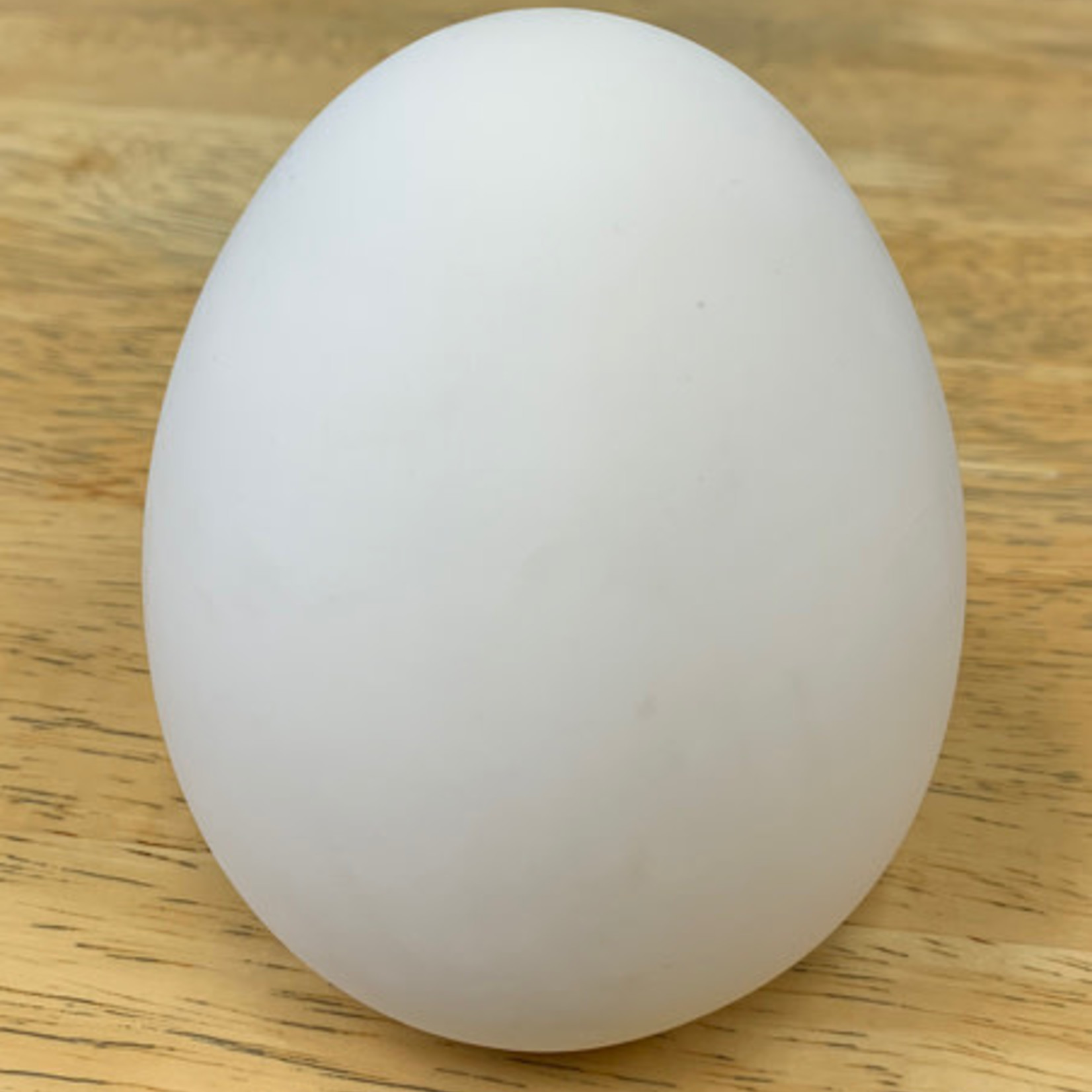 Egg, Large