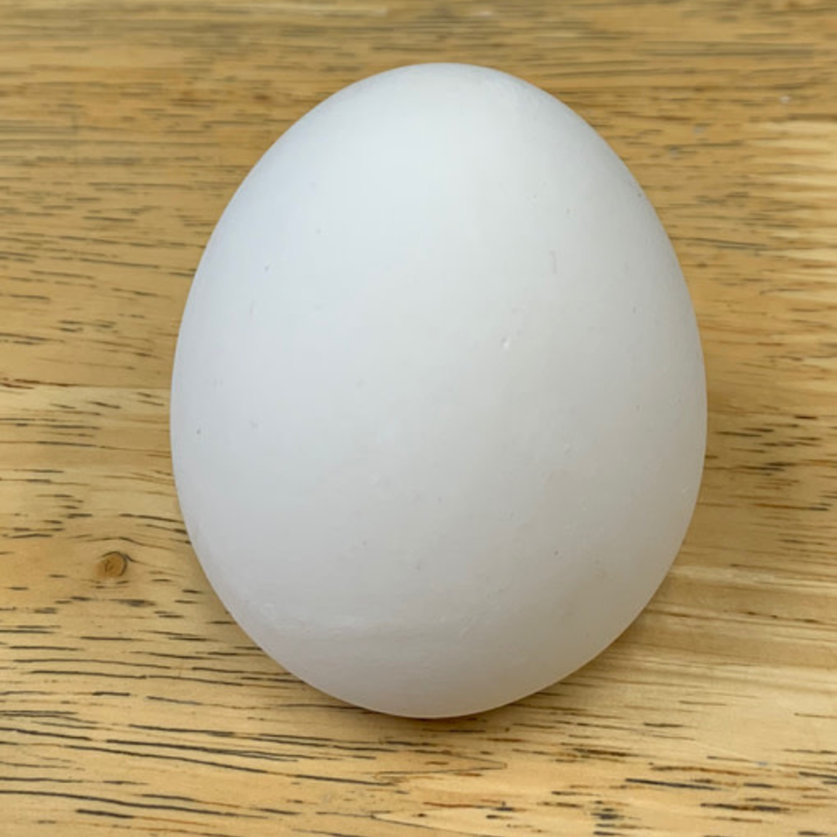 Egg, Small