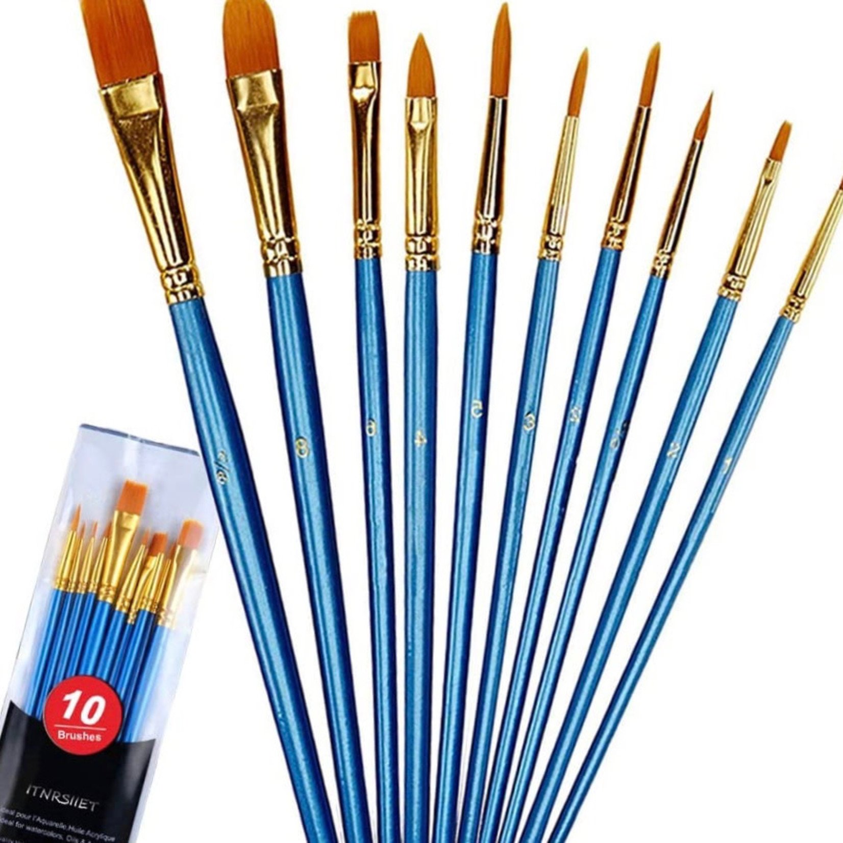 Paint Brushes, set of 10