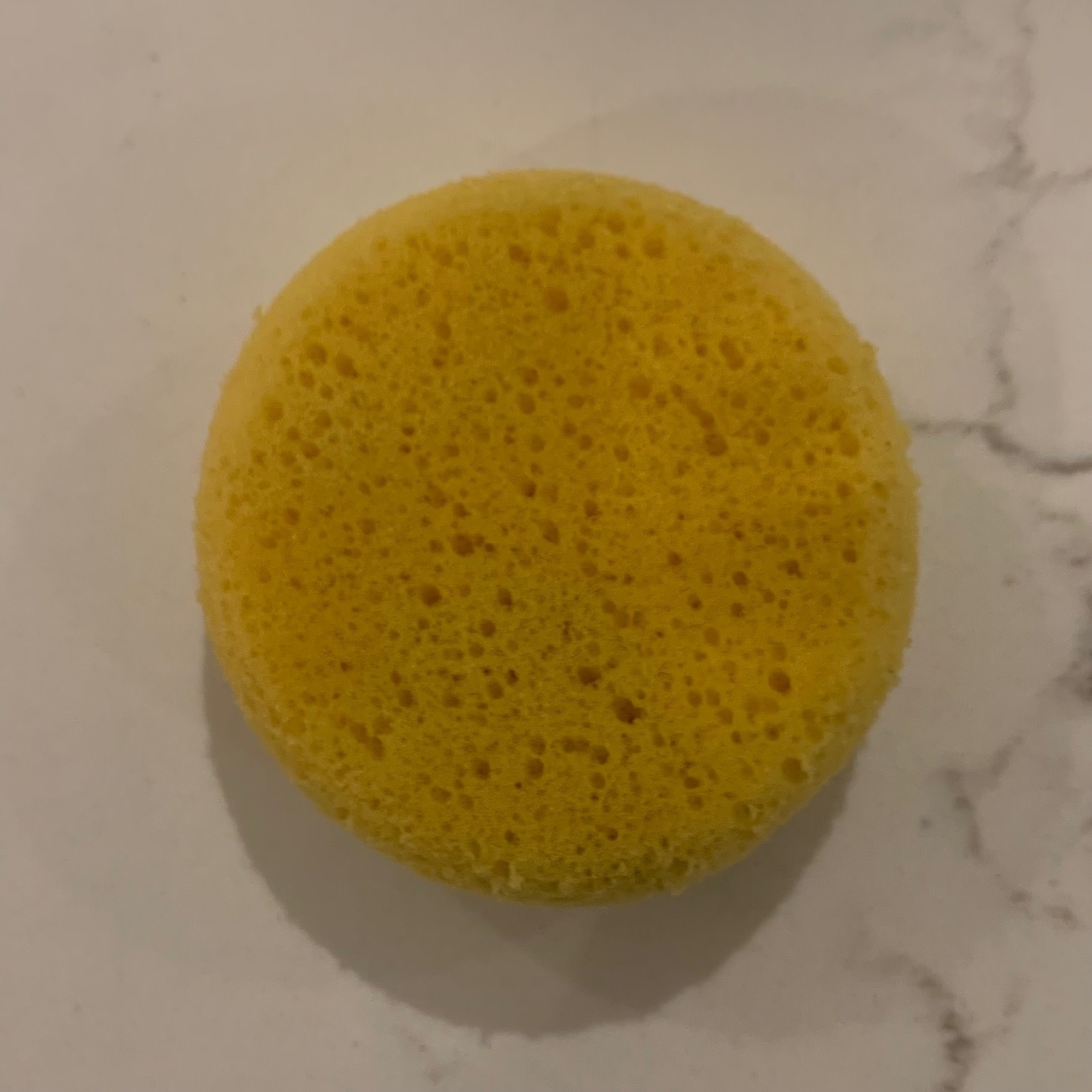 Round Synthetic Sponges for Painting & Crafts (3.5 x 1 in, Light Yello –  BrightCreationsOfficial