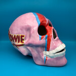Skull, 8"
