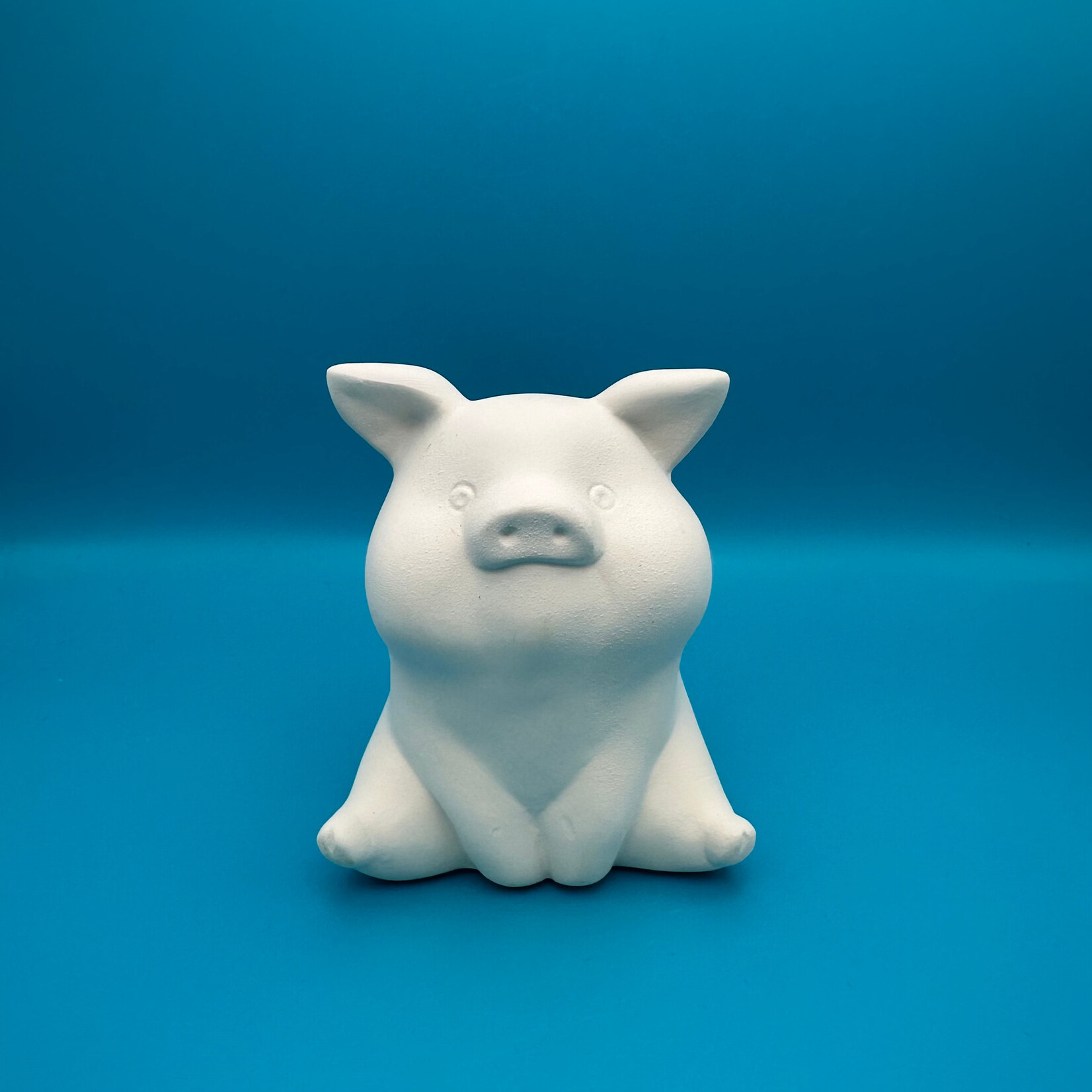 Cute Pig