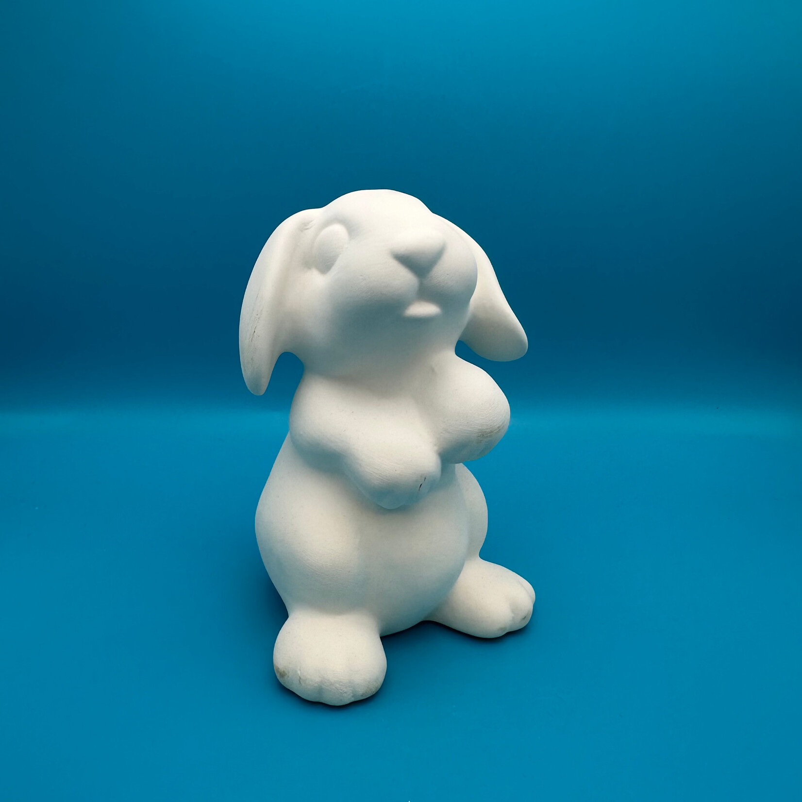 Rabbit Party Animal