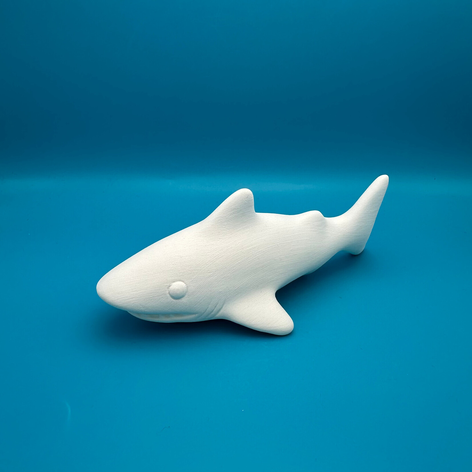 Shark