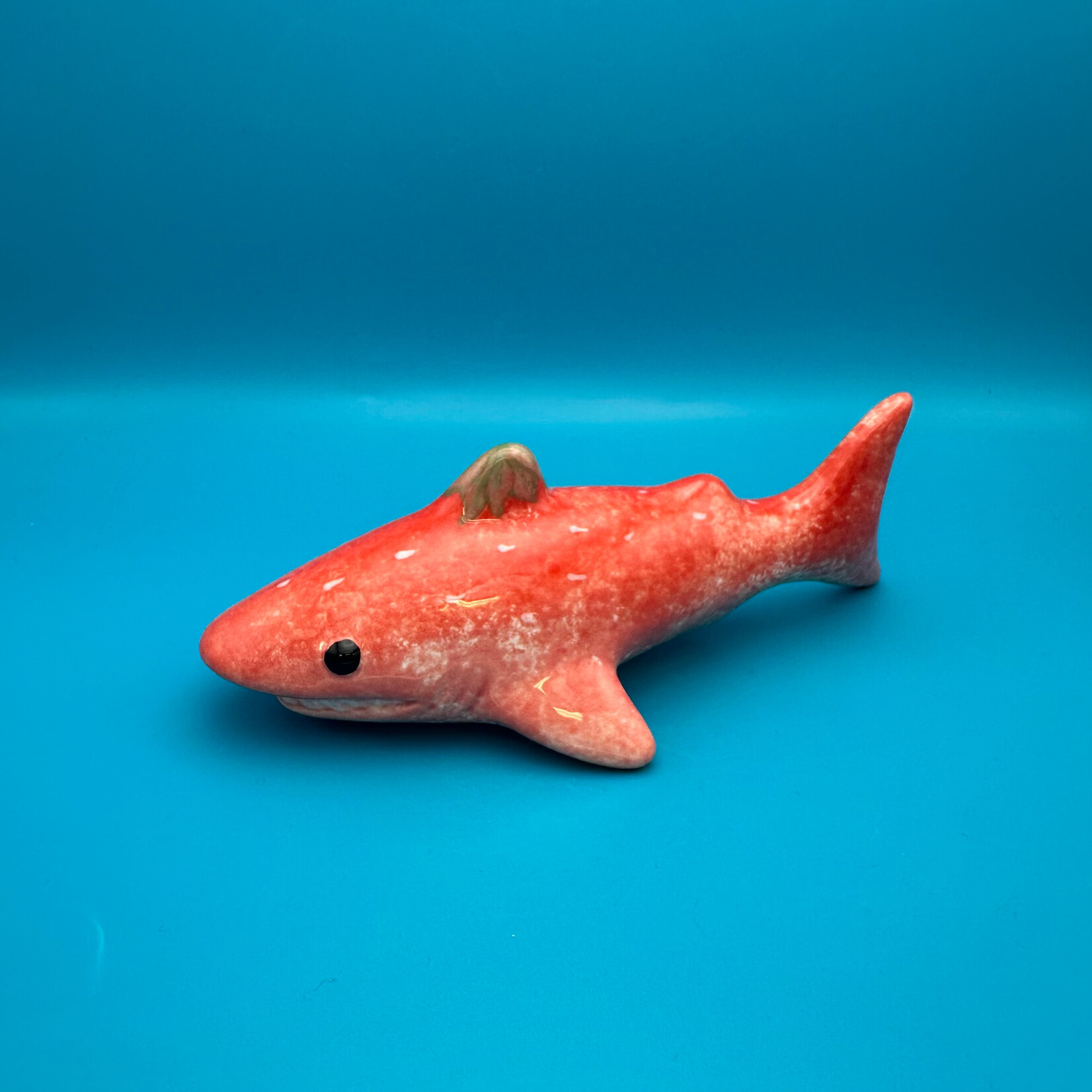 Shark