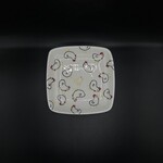 Square dipping Plate