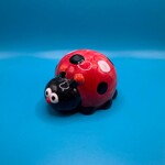 Ladybug, Frank