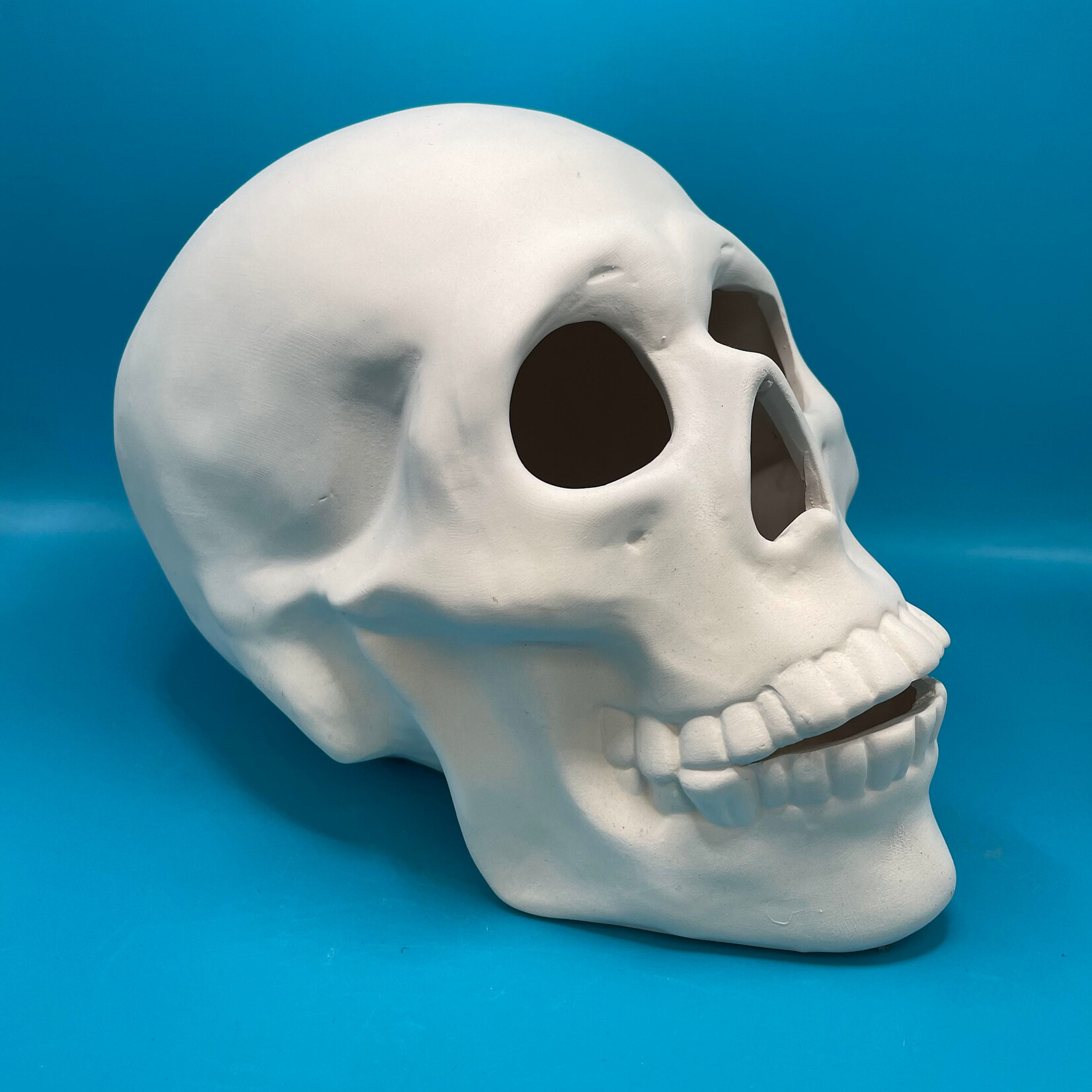 Skull, 8"
