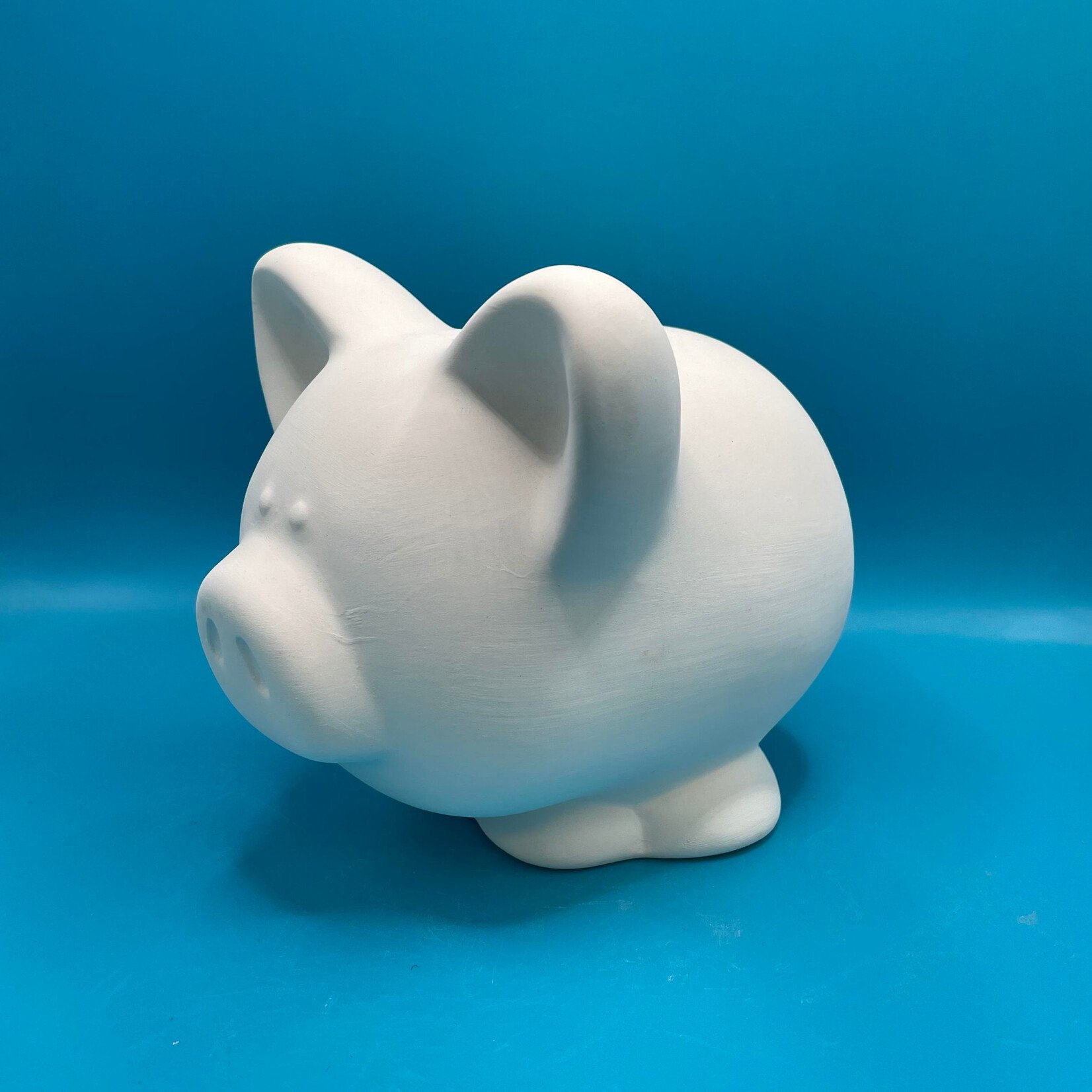 This lil Piggy Bank