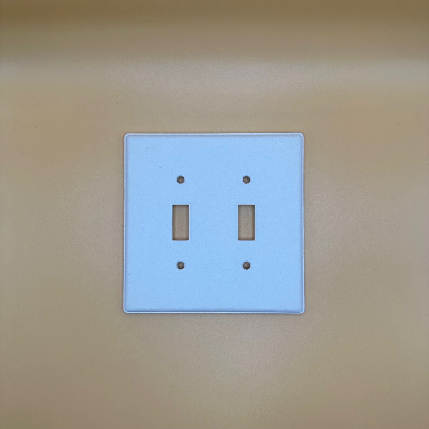 Switchplate, Double