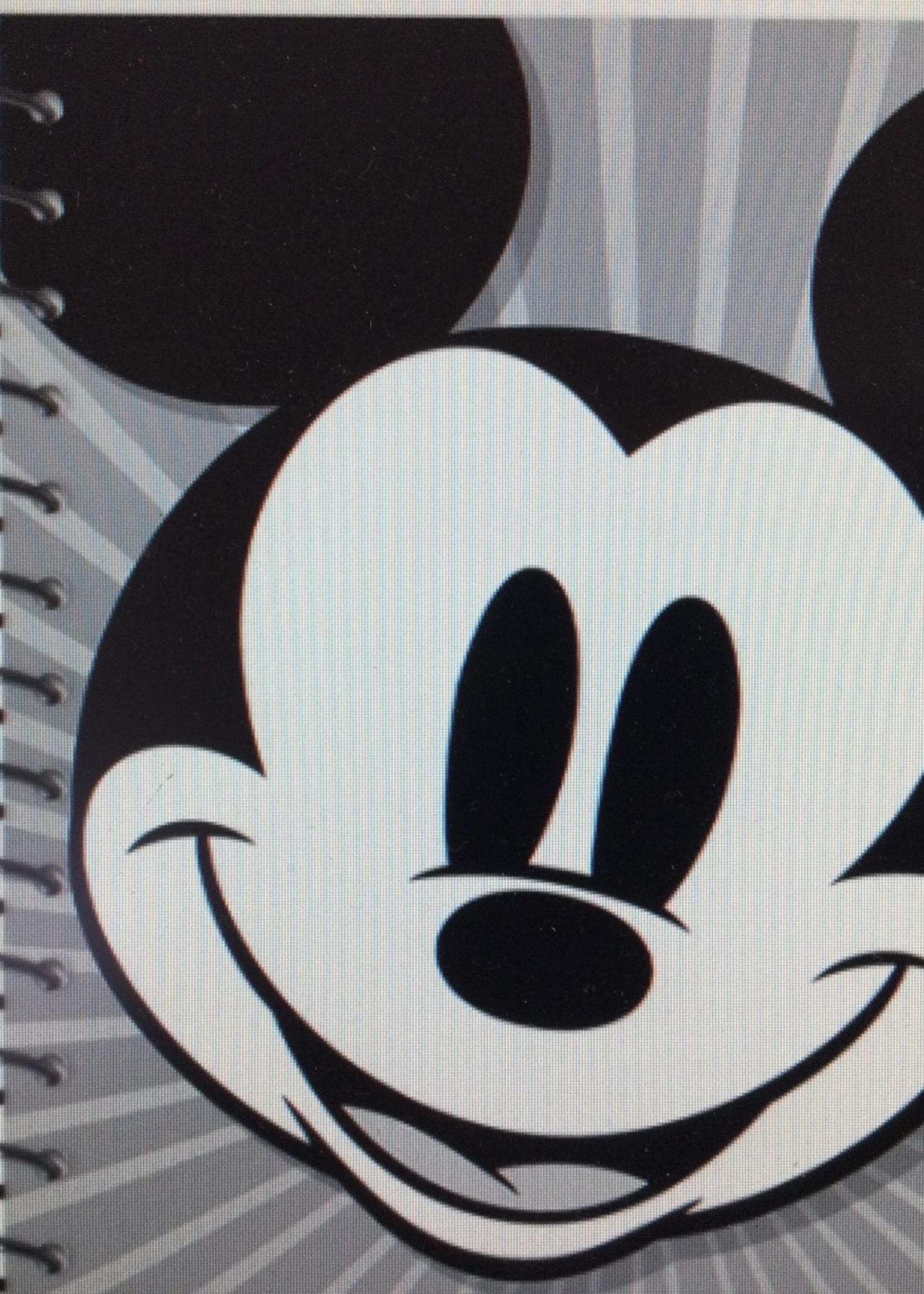 Mickey Mouse Throwback Lesson Plan Book