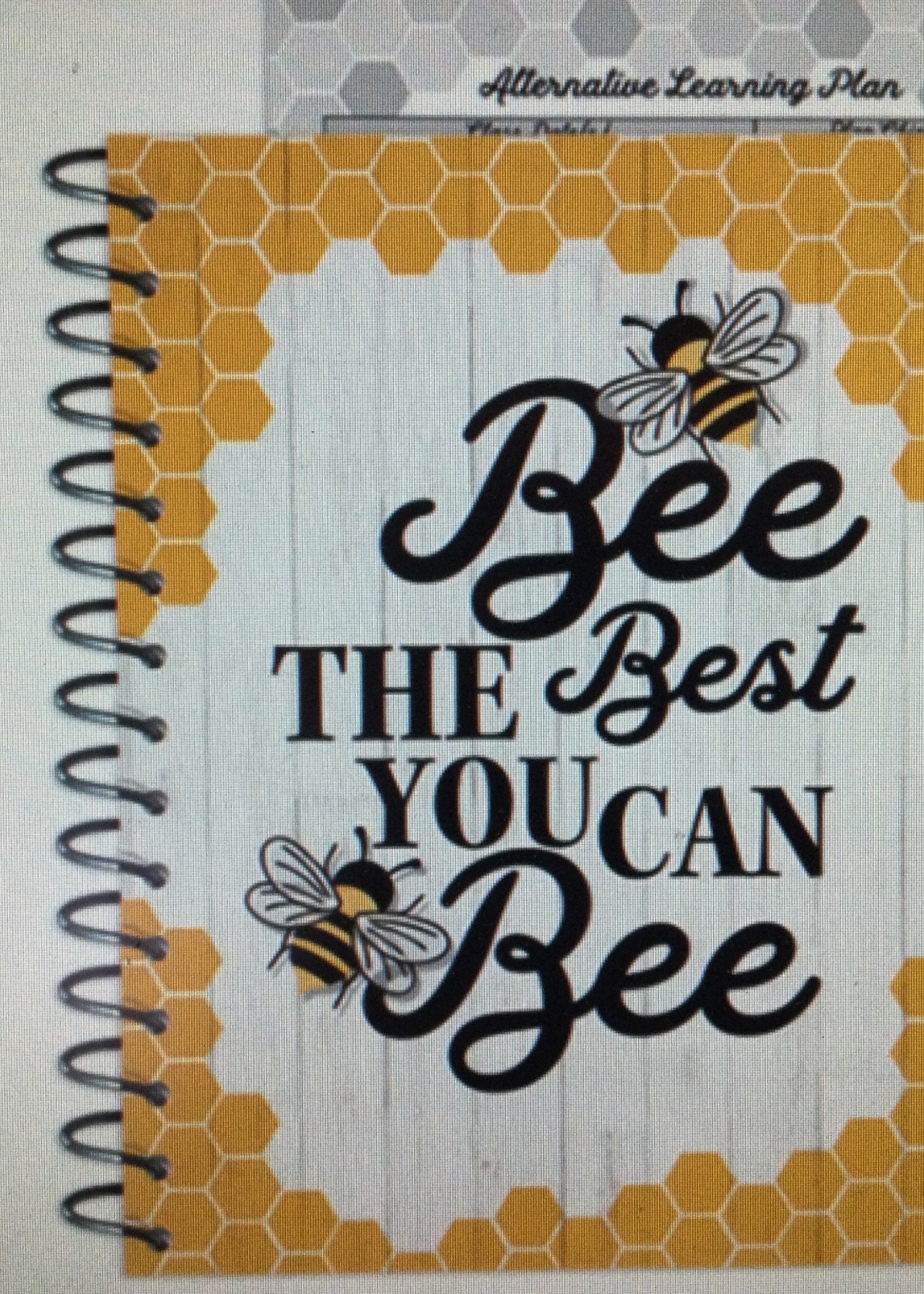 The Hive Lesson Plan & Record Book