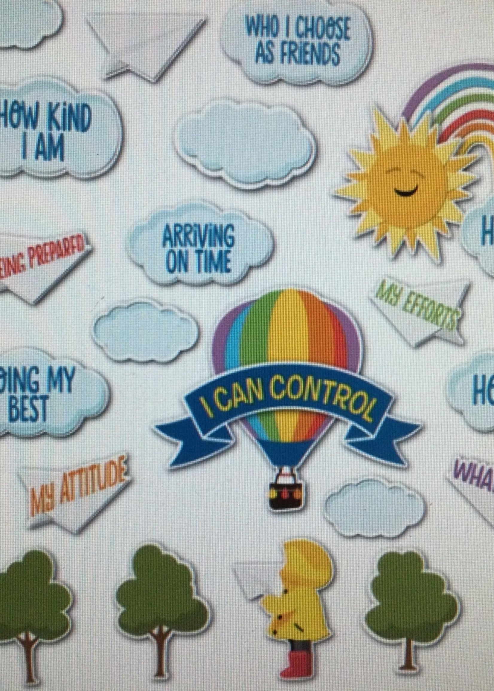 What I Can Control Mini Bulletin Board