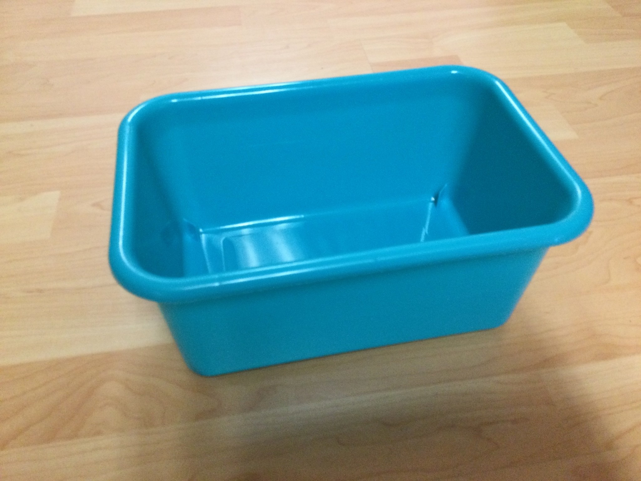 Teal Small Plastic Storage Bin - TCR20381