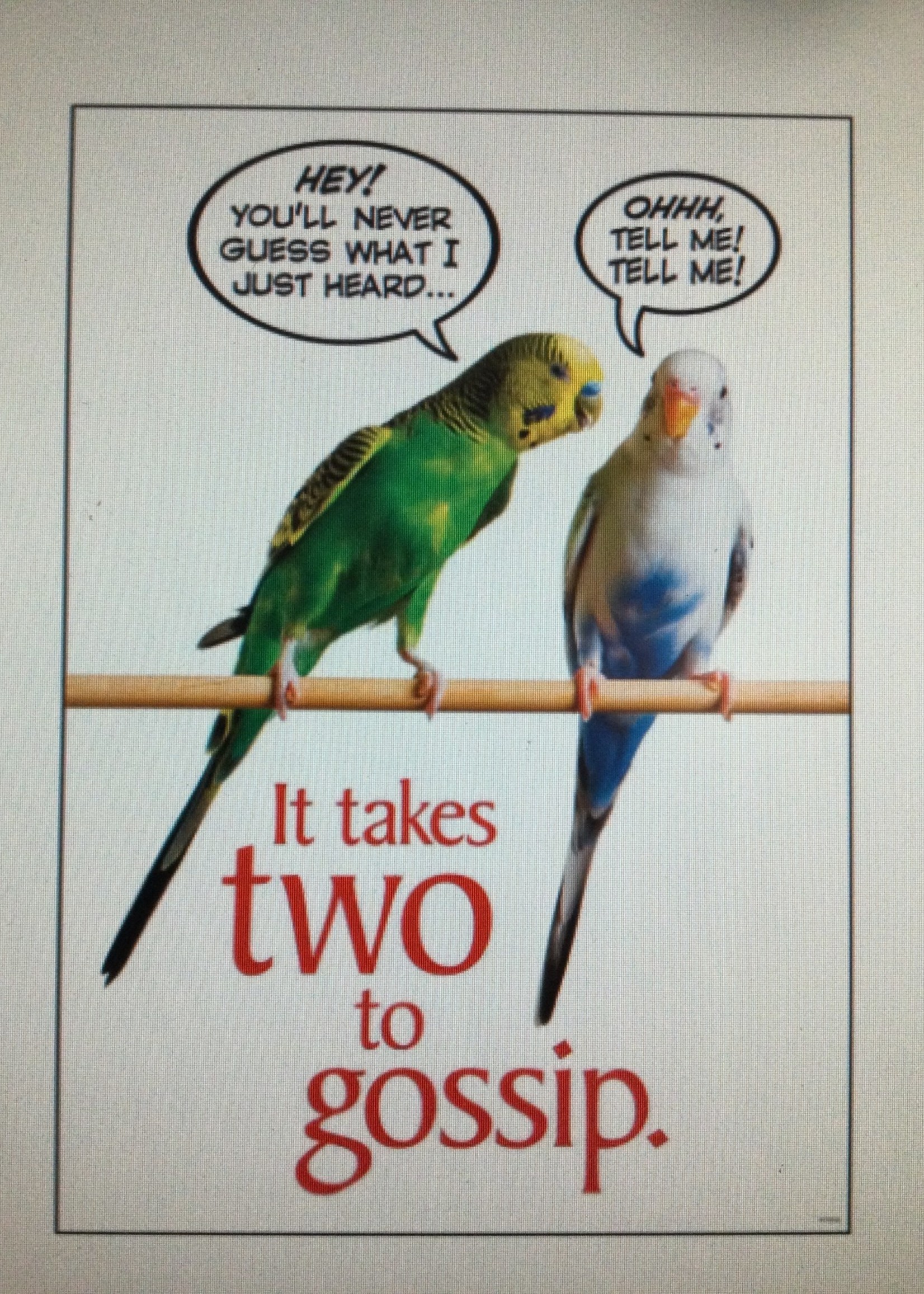 It Takes Two to Gossip Poster