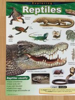 Reptiles Chart