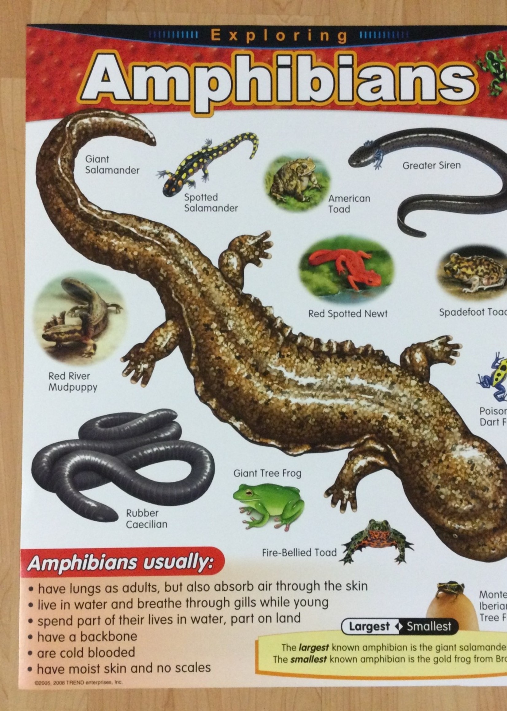 Amphibians Chart