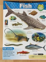 Fish Chart