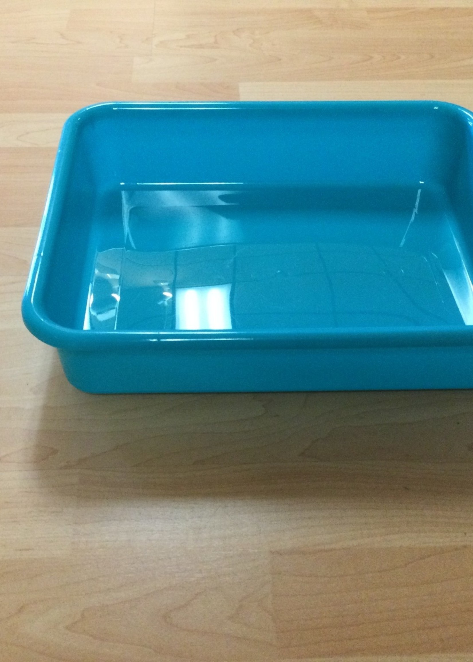 Teal Large Plastic Letter Tray