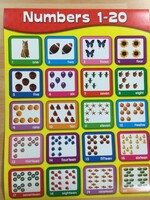 Numbers 1-20 Photo Chart