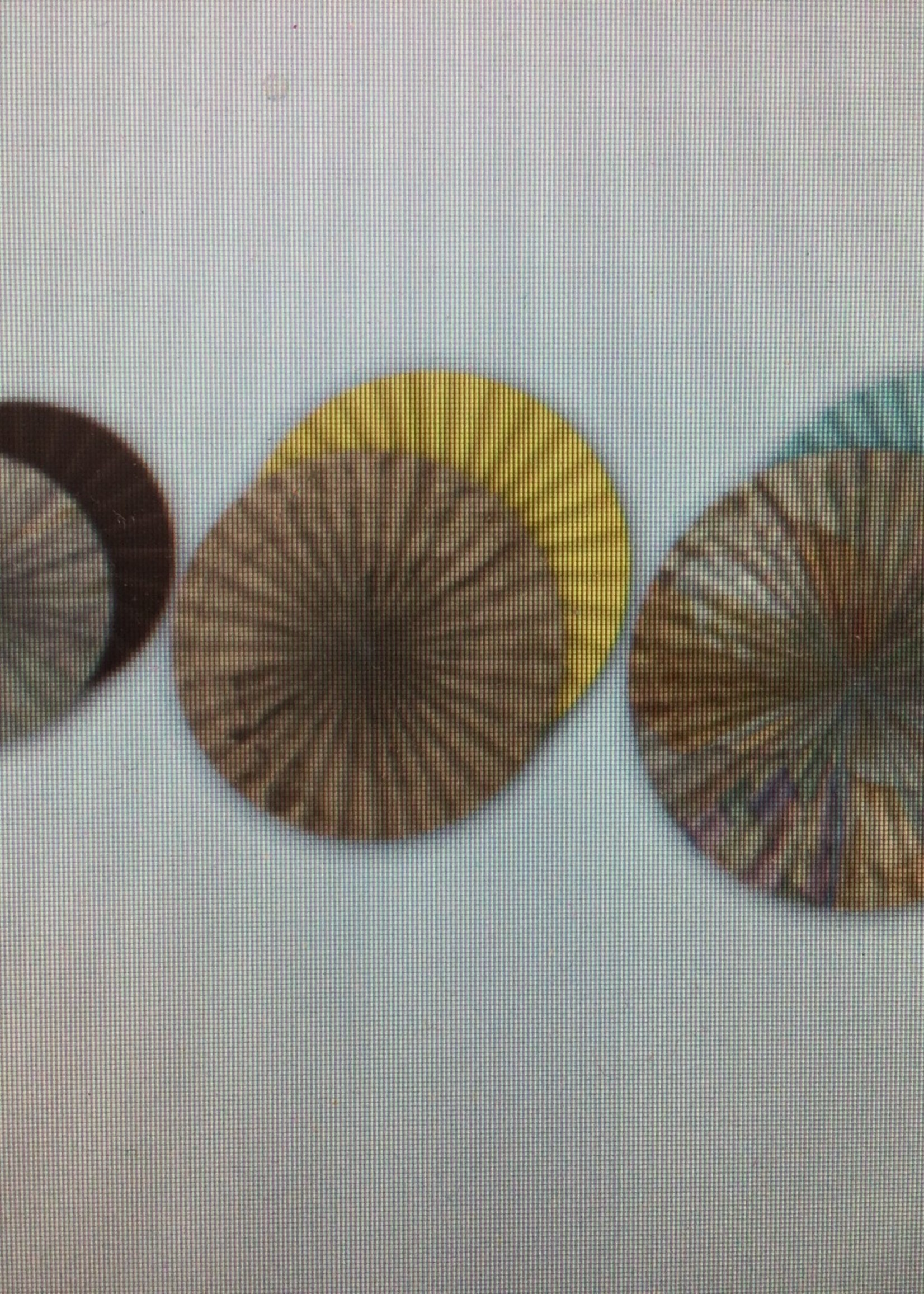 Travel the Map Hanging Paper Fans 3pc