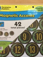 Eucalyptus Numbers Magnetic Accents 42pc